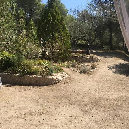 Vi L'art Wine - Only Adults Lodge