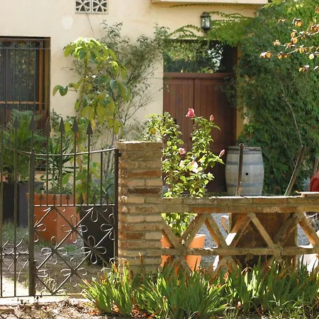 Vi L'art Wine - Only Adults