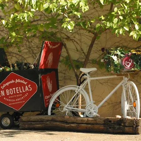 Alojamento de Turismo Selvagem Vi L'art Wine - Only Adults *