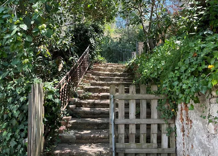 Lodge Vi L'art Wine - Only Adults